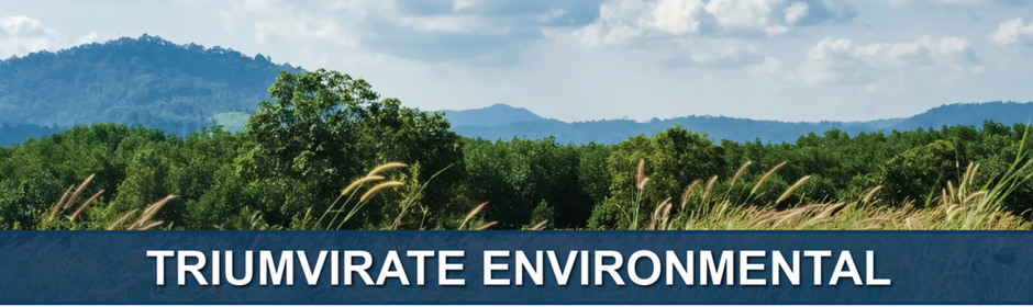 Triumvirate Environmental